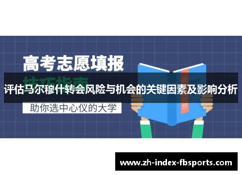 评估马尔穆什转会风险与机会的关键因素及影响分析